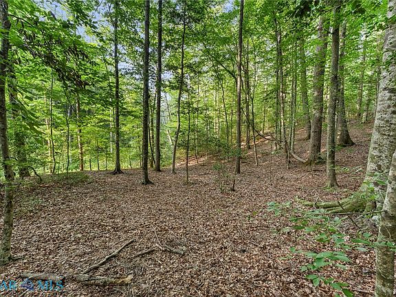 5th image of 9 Deerwood Ct