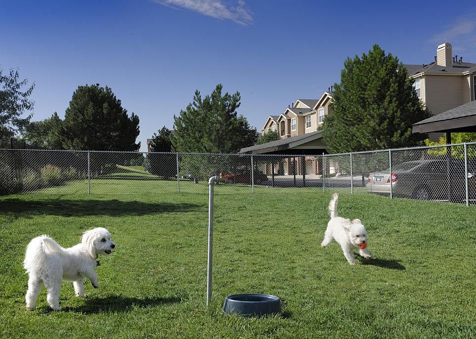 Lowry Park Apartment Rentals Denver, CO Zillow