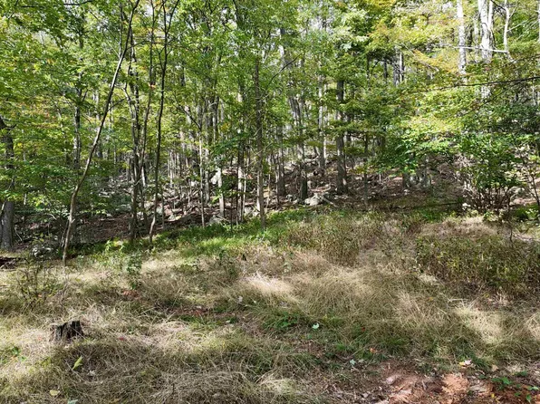 LOT 1 Shamrock Dr, Maysville, WV 26833