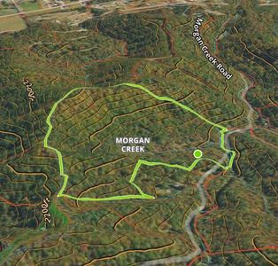1070 Morgan Creek Rd, Marble, NC, 28905