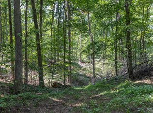 00-V/L E Johnson Rd, Shelby, MI 49455