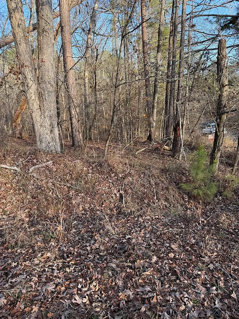 LOT 29 Apple Blossom Dr photo 1