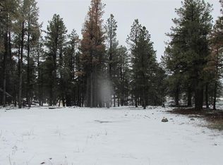 54 Antelope Ave, Pagosa Springs, CO 81147