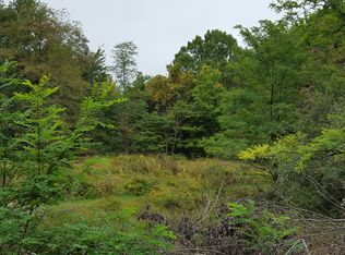 201 Racoon Ln, Pioneer, TN 37847