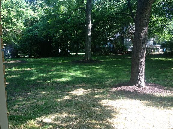 Big shaded back yard