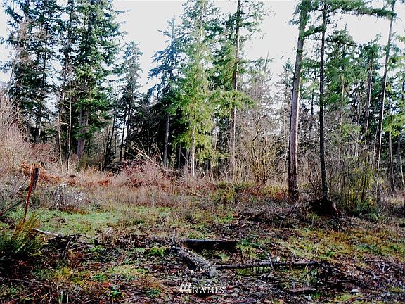2nd image of 0 40th Avenue E
