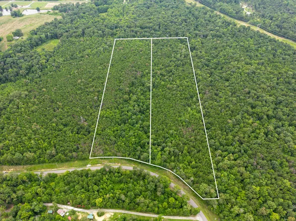 LOT 1& County Rd #2-131, Bryant, AL 35958