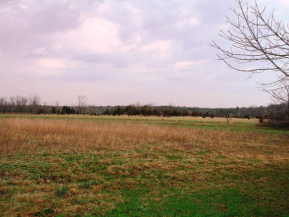 2nd image of Youngs Ave