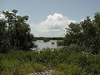 2nd image of 120 Coco Plum Rte