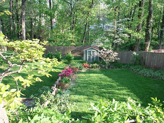 Backyard in spring