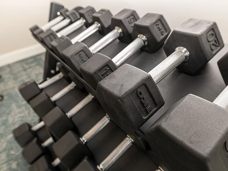 Free-weights in the Fitness Center