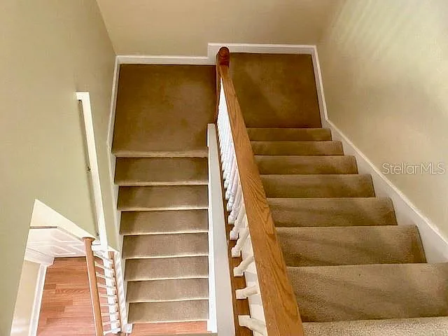 10429 Kristen Park Dr — Photo 19