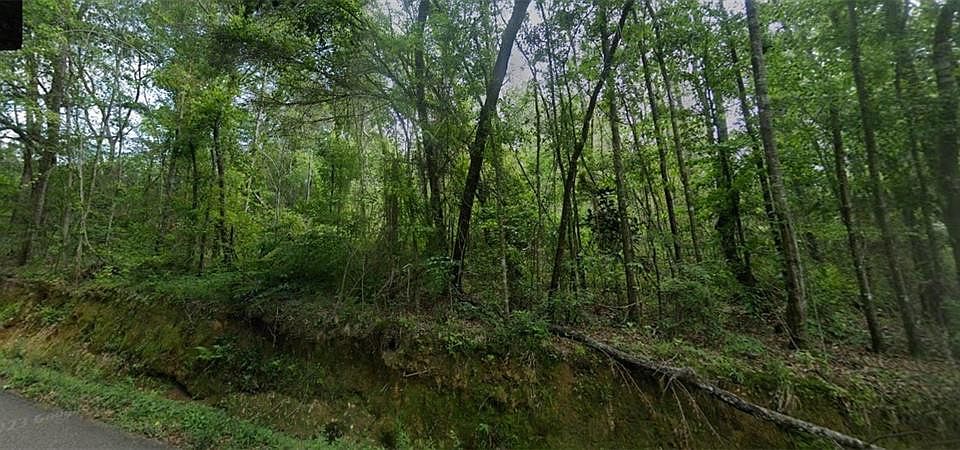 1st image of Old Uneedus Rd