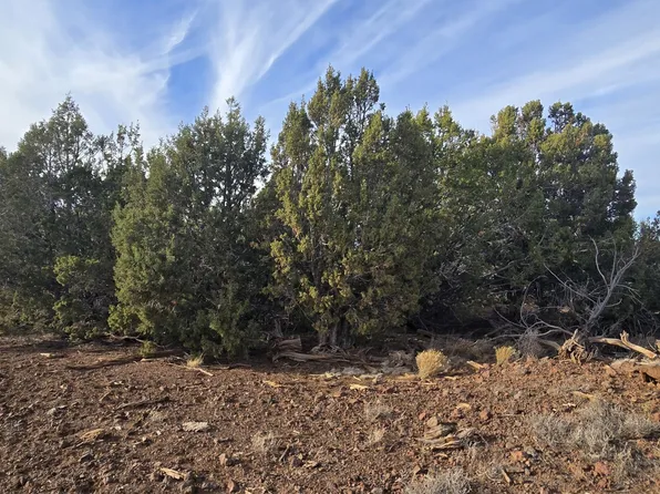 2393 E Starry Night Way #15, Williams, AZ 86046