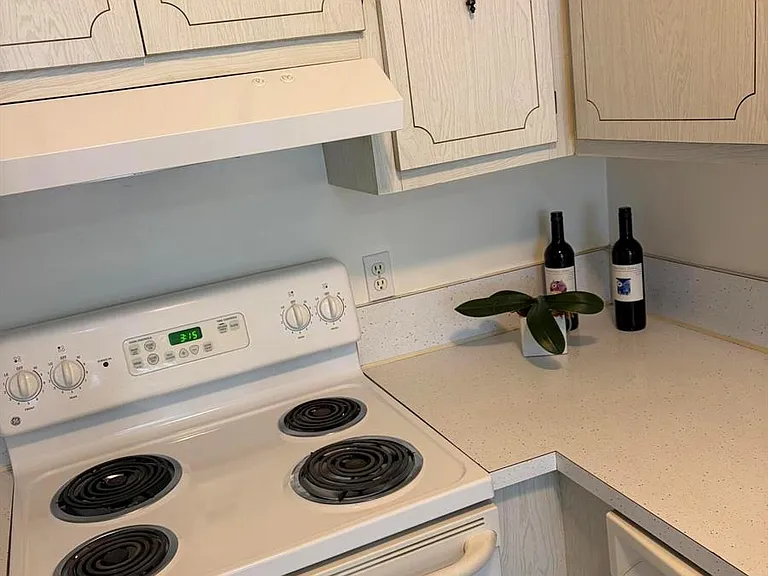 2520 Black Olive Blvd #203 — Photo 4