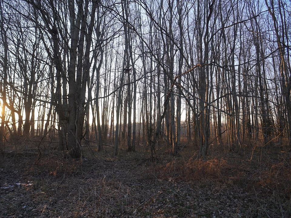 2nd image of 12077 N Spades Rd