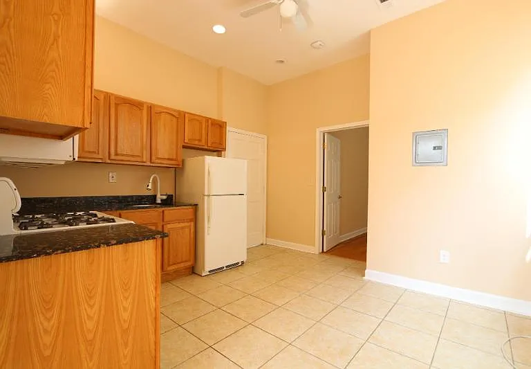 817 S Laflin St #2F — Photo 8