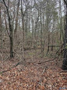 4 Deer Cove Rd, Scottsboro, AL, 35769