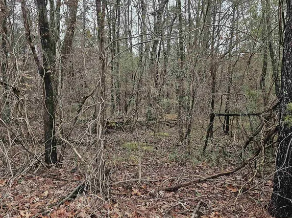 4 Deer Cove Rd, Scottsboro, AL 35769