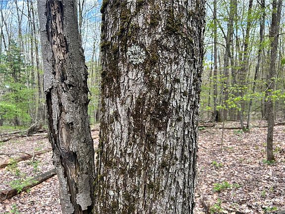 2nd image of Mary Brown Hill Rd Lot 3