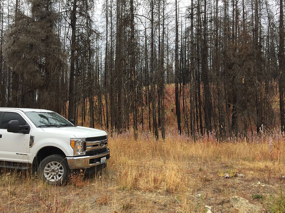 2nd image of CRAWFISH Vista