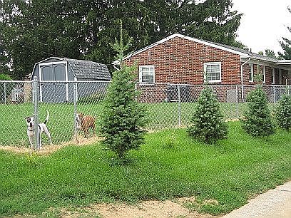 5th image of 413 Wyoming Ave