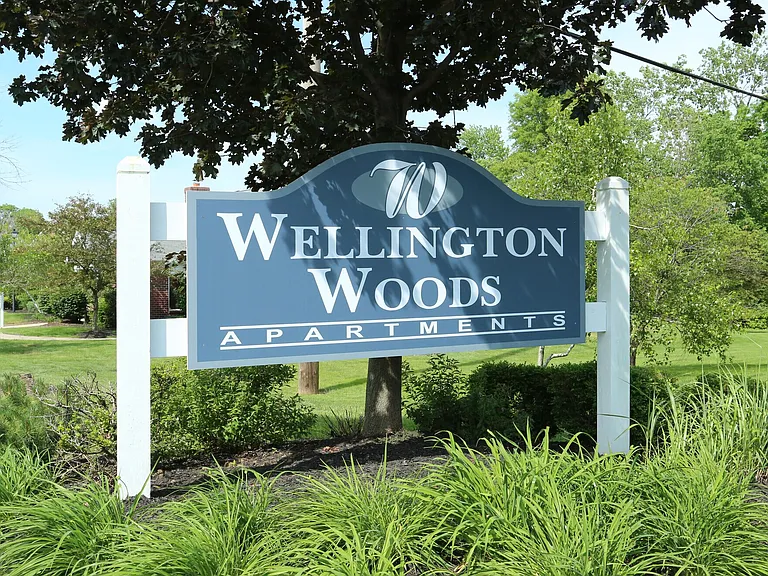 5641 Wellington Woods Blvd — Photo 2