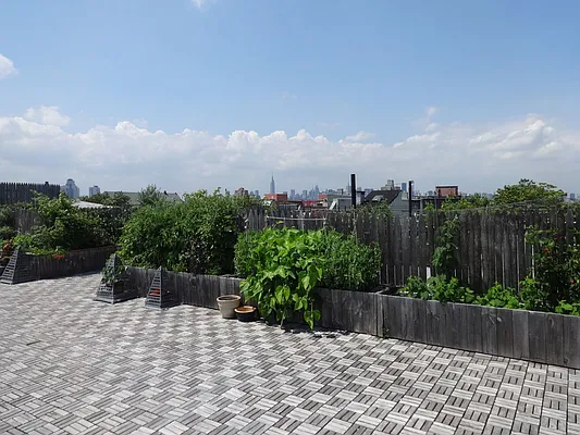 Rented by Fiddler Realty | media 31