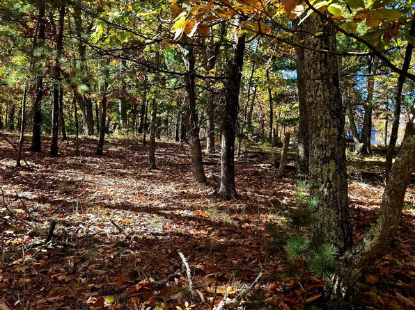 Chestnut Street W, Wurtsboro, NY 12790