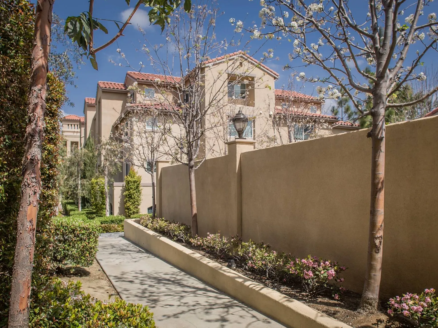 Laguna Canyon — Photo 4
