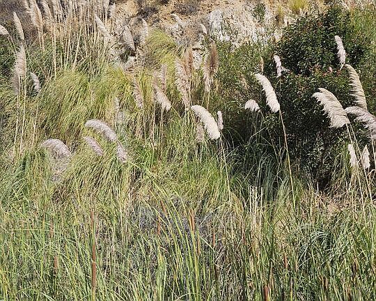4th image of 3930 Topanga Canyon Blvd