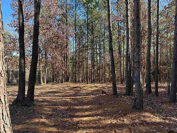 2nd image of 1545 County Road 316d
