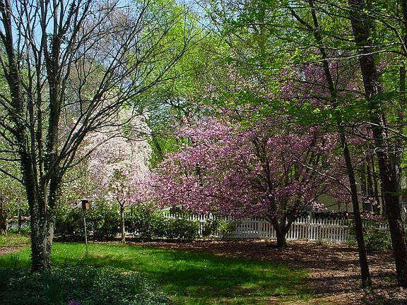 View of yard from front porch!