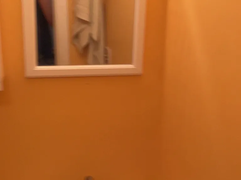 A guest bathroom on the first floor