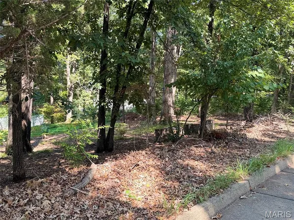 0 Sylvan Dr, Poplar Bluff, MO 63901