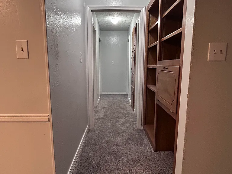 2614 Palmetto Dr — Photo 6