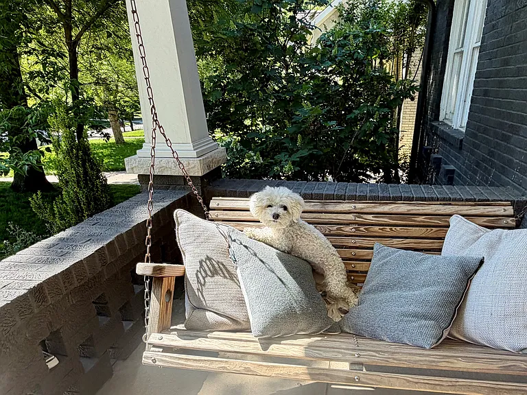Front porch swing with a friend
