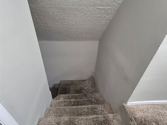 5th image of 542 Woodford Ave