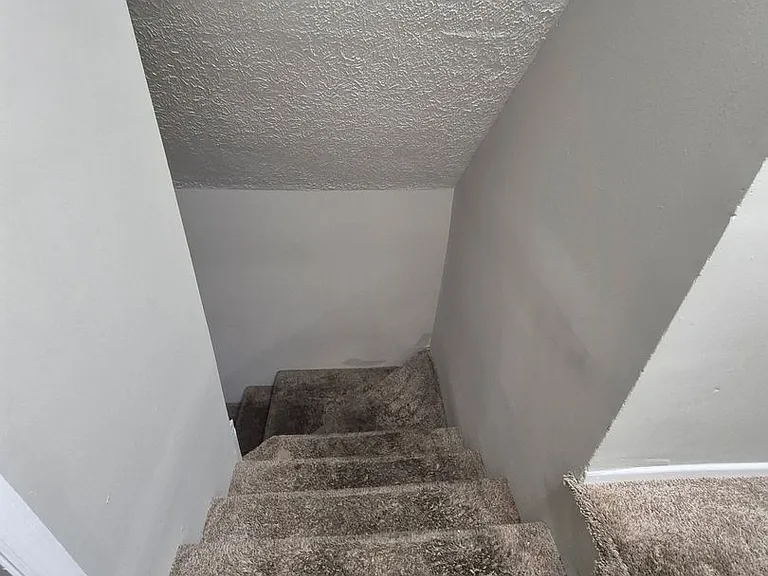 542 Woodford Ave — Photo 5