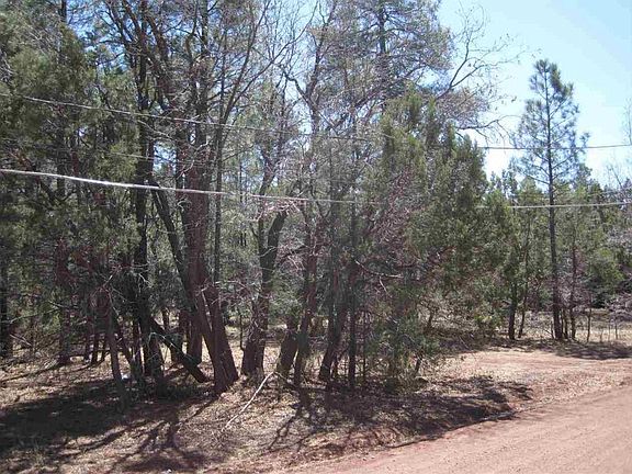 3rd image of 3299 Lynx Dr
