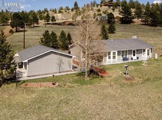 54 Dillon Ln, Florissant, CO 80816