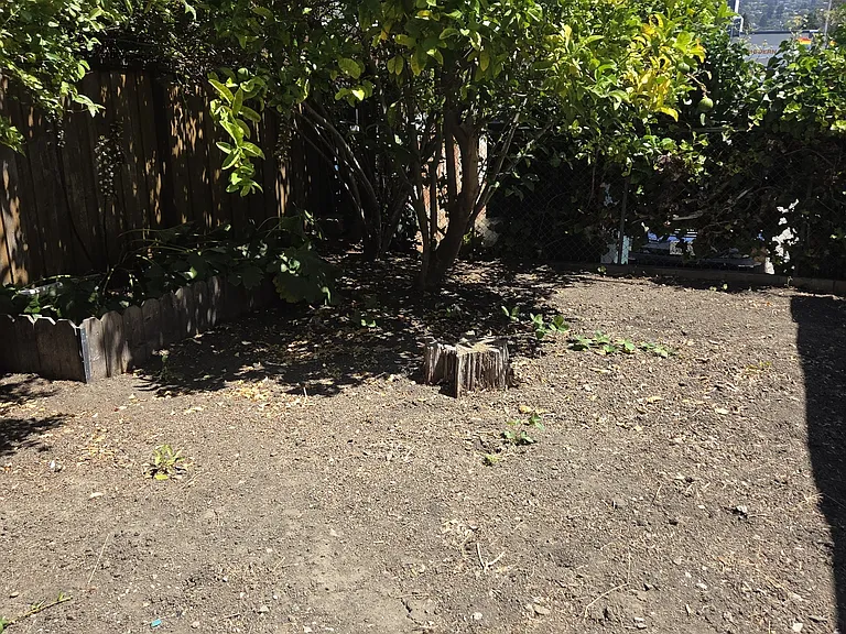 1051 Castro St #1 — Photo 19