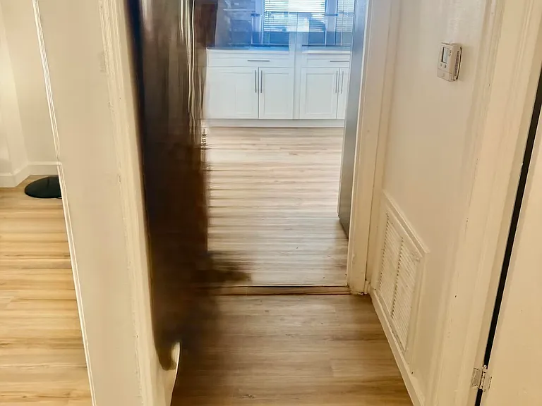 443 Wilder St — Photo 10