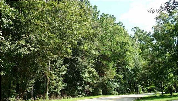 1st image of 1229 Bells Hwy