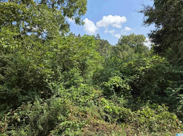 0 Finley Ave #8, Sylacauga, AL 35150