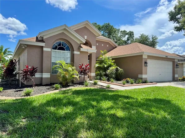 28826 Windover St, Wesley Chapel, FL 33545