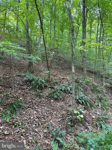 5.65 Acres Off, New Paris, PA, 15554