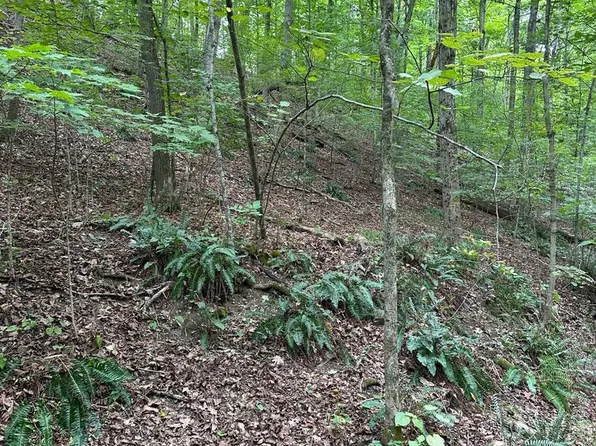 5.65 Acres Off, New Paris, PA 15554