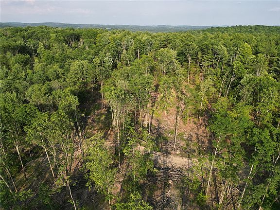 5th image of 351 Hardscrabble Rd