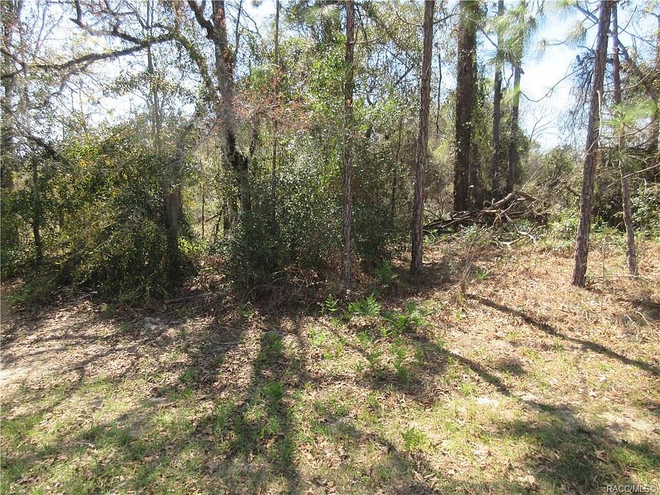 2nd image of 8294 N Elkcam Blvd
